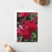 Carte De Correspondance Roses rouges complètes (Devant/Arrière en situation)