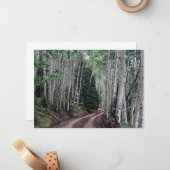 Carte De Correspondance Route à travers le bouleau (Devant/Arrière en situation)