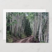 Carte De Correspondance Route à travers le bouleau (Devant / Derrière)