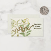 Carte De Correspondance Serpent (Devant/Arrière en situation)