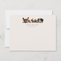 Service De Grooming De Chiens De Cute