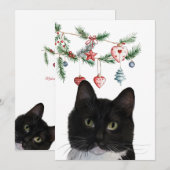 Carte De Correspondance Set of Holiday Note Cards 5x7 Tuxedo Cat (Devant / Derrière)