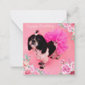 Carte De Correspondance Shih Tzu (Devant)