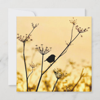 Carte De Correspondance Silhouette of chickadee perched against gold light