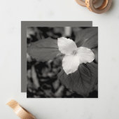 Carte De Correspondance Spring Trillium Black and White (Devant/Arrière en situation)