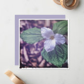 Carte De Correspondance Sprint Trillium Autochrome Style (Devant/Arrière en situation)