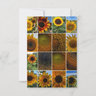 Carte De Correspondance Sunflowers Close Up Collage 