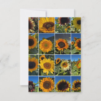 Carte De Correspondance Sunny Day Sunflower Collage 