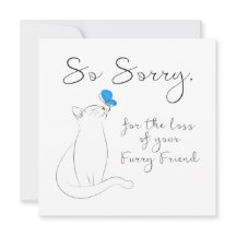 Sympathie pour chat animal