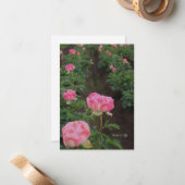 Carte De Correspondance Terrain (Devant/Arrière en situation)