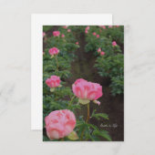 Carte De Correspondance Terrain (Devant / Derrière)