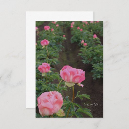 Carte De Correspondance Terrain (Devant / Derrière)