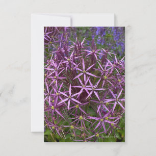 Carte De Correspondance Tête du grand allium