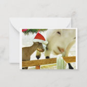 Carte De Correspondance The goats of Christmas past Card (Devant)