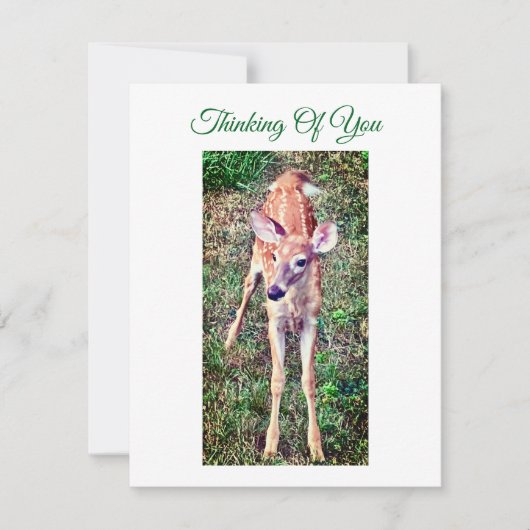 Carte De Correspondance Thinking Of You Flat Note Card With Fawn (Devant)
