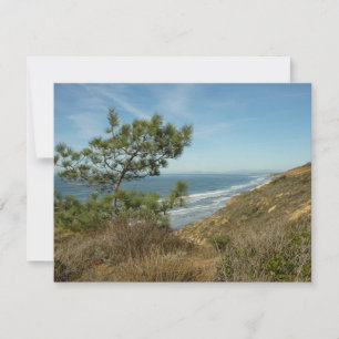 Carte De Correspondance Torrey Pine and California Coastline Landscape