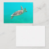 Carte De Correspondance Tortue des Caraïbes (Devant / Derrière)