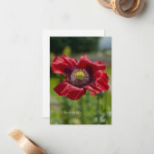 Carte De Correspondance Très ouvert Rouge Poppy (Devant/Arrière en situation)