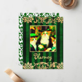 Carte De Correspondance Triste Capnip pas Clover Saint Catrick's Day Cats (Devant/Arrière en situation)