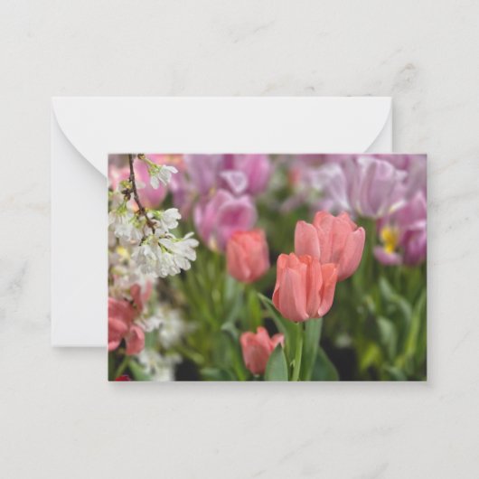 Carte De Correspondance Tulipes roses (Devant)