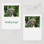 Carte De Correspondance Un héron vert (Devant / Derrière)