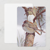 Carte De Correspondance Une journée d'hiver (Devant / Derrière)