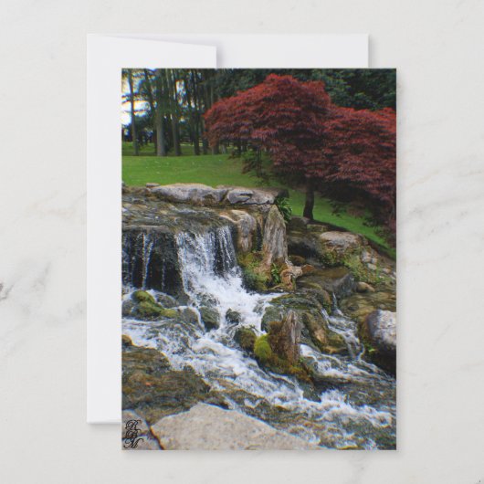 Carte De Correspondance Une petite cascade (Devant)