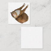 Carte De Correspondance Upside-Down Sunshine (Devant / Derrière)