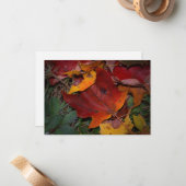 Carte De Correspondance Vibrant Fall Leaves (Devant/Arrière en situation)