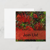 Carte De Correspondance Vibrant Rouge Orange Firebush (Devant / Derrière)