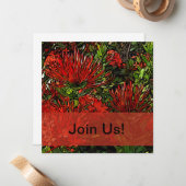 Carte De Correspondance Vibrant Rouge Orange Firebush (Devant/Arrière en situation)