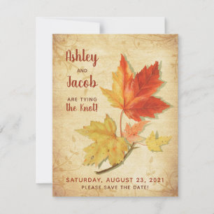Carte De Correspondance Vintage Automne Maple Feuilles mariage Enregistrer