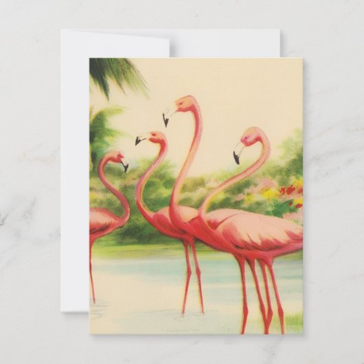 Carte De Correspondance Vintage Flamingos (Devant)