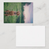 Carte De Correspondance vizsla assise (Devant / Derrière)