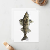 Carte De Correspondance Walleye (Devant/Arrière en situation)