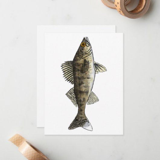 Carte De Correspondance Walleye (Devant/Arrière en situation)