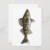 Carte De Correspondance Walleye (Devant / Derrière)