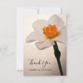 Carte De Correspondance White Spring Daffodique Mariage Flat Merci Notes (Devant)