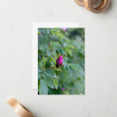 Carte De Correspondance Wild Rose Bud (Devant/Arrière en situation)