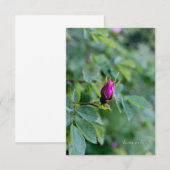 Carte De Correspondance Wild Rose Bud (Devant / Derrière)