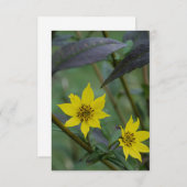 Carte De Correspondance Yellow Fall Flower (Devant / Derrière)