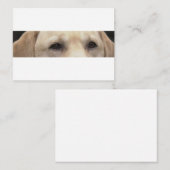 Carte De Correspondance yeux de labrador jaune (Devant / Derrière)