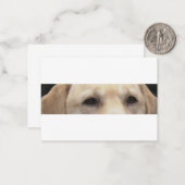 Carte De Correspondance yeux de labrador jaune (Devant/Arrière en situation)