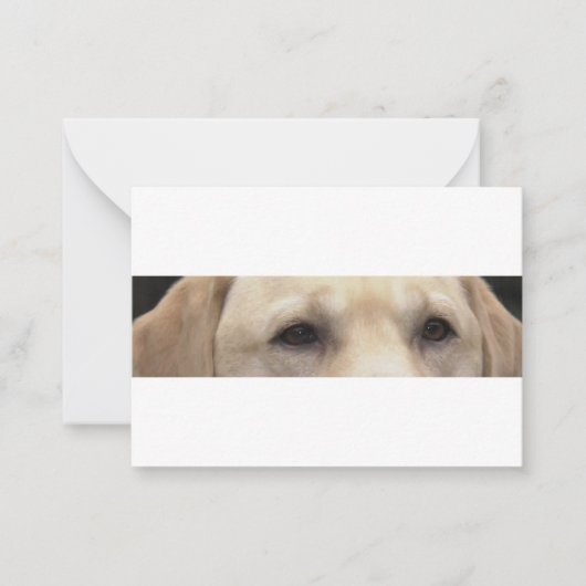 Carte De Correspondance yeux de labrador jaune (Devant)