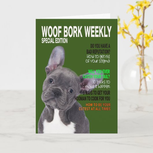 Carte de couverture du magazine Boston Terrier Par (Fleur jaune)