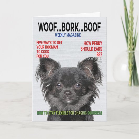 Carte de couverture du magazine Chihuahua Parody (Devant)