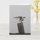 Carte de crédit (Fleur jaune)