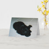 Carte de crédit (Fleur jaune)