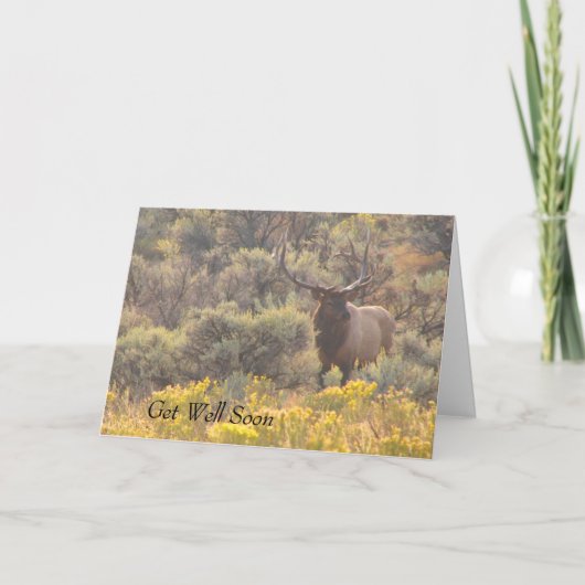 Carte de crédit Autumn Bull Elk Custom (Devant)