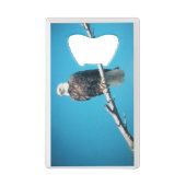 Carte de crédit Eagle Stainless Steel Bottle Opene (Dos)